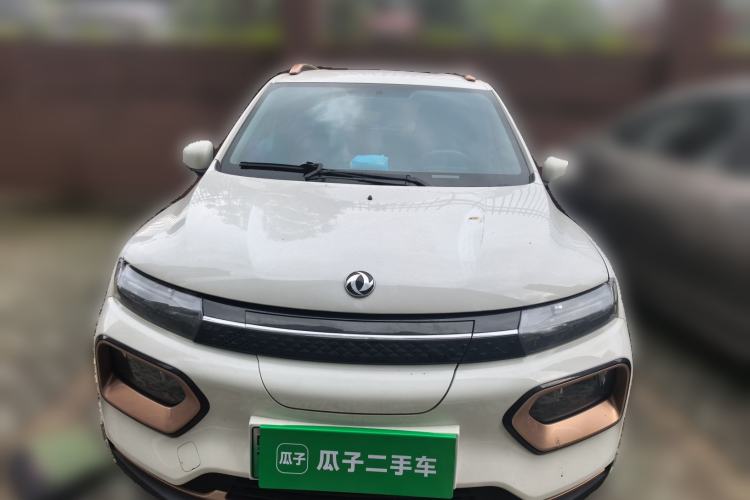 Used Dongfeng NAMMI EX1 2023 PRO Light Wind Edition Lightning Model
