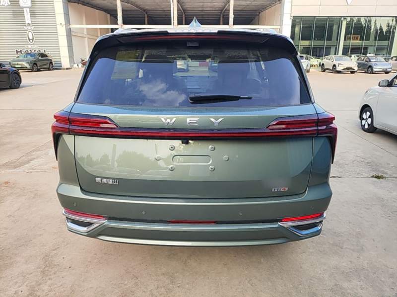 Used Wey Lanshan 2025 Four-Wheel Drive Max — 5