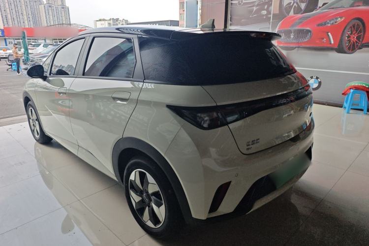 Used BYD Dolphin 2025 420km Free Edition Rear Left 45 Deg