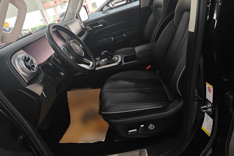 Used Tank 300 2024 2.0T Conqueror Left Front Seat