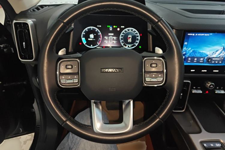 Used Haval DARGO 2024 2.0T DCT Chinese Rural Dog Edition
