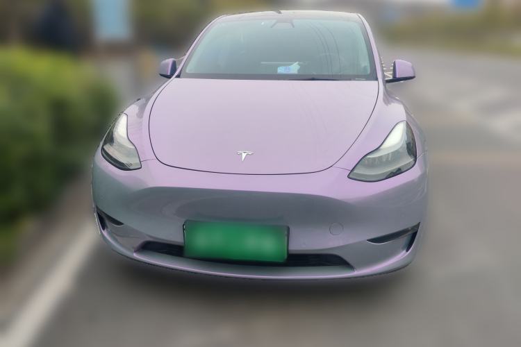 Used Tesla Model Y 2021 Standard Range Rear-Wheel Drive Version
