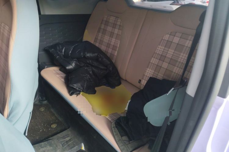 Used Chery QQ Ice Cream 2024 Edition Youth Version 205km Sundae Left Rear Seat