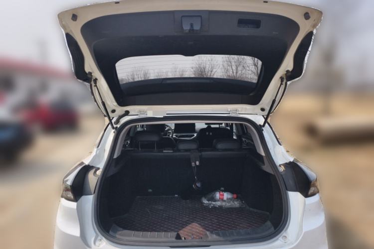 Used Geometry C 2020 Selected Range Edition 550 KM C++