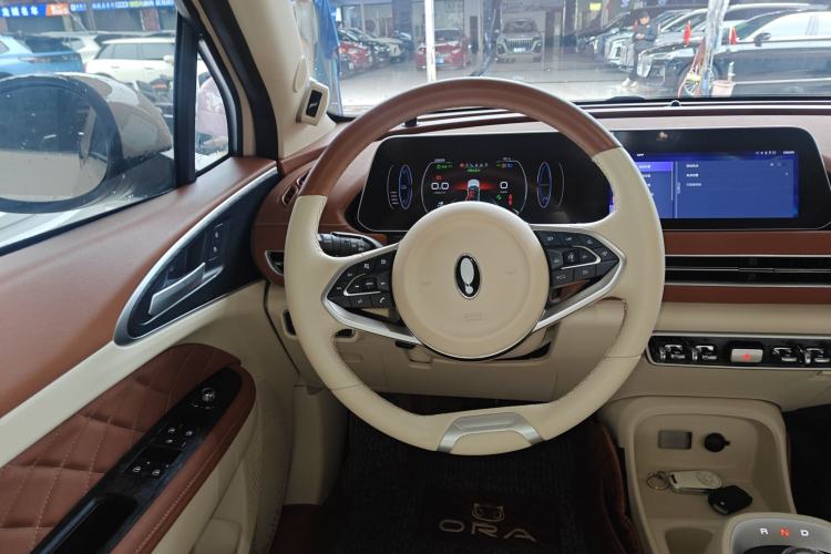 Used ORA Good Cat 2022 400km Standard Range Luxury Version Lithium Iron Phosphate
