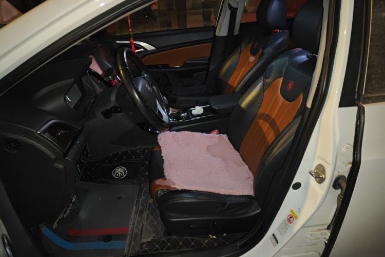 Used BYD Qin New Energy 2015 1.5T Dual-Crown Flagship Edition
