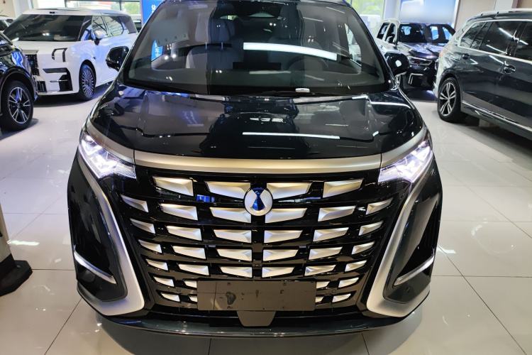 Used Denza D9 2022 DM-i 970 Four-Wheel Drive Prestige Model Front