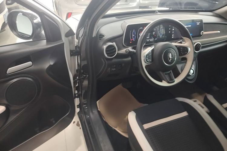 Used ORA Black Cat 2019 351 km Lingzhi Edition
