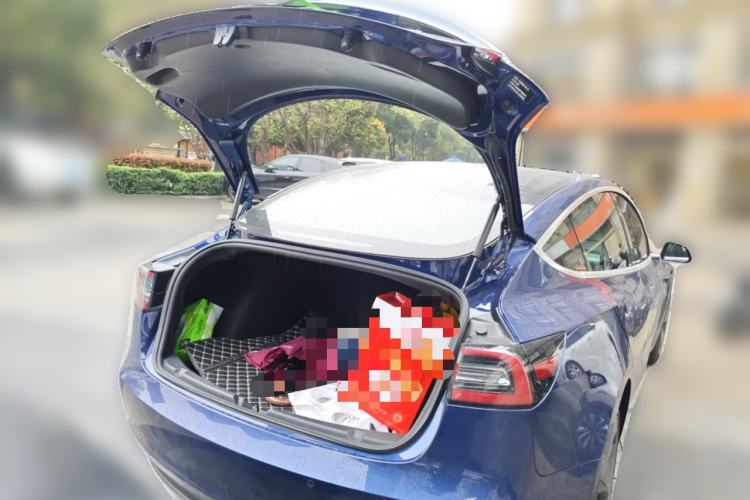 Used Tesla Model 3 2019 Standard Range Rear-Drive Upgraded Version