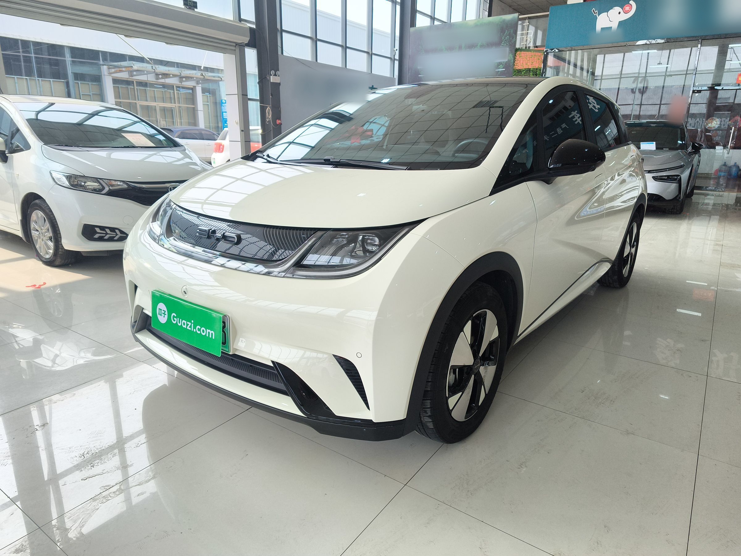 Parte inferior delantera