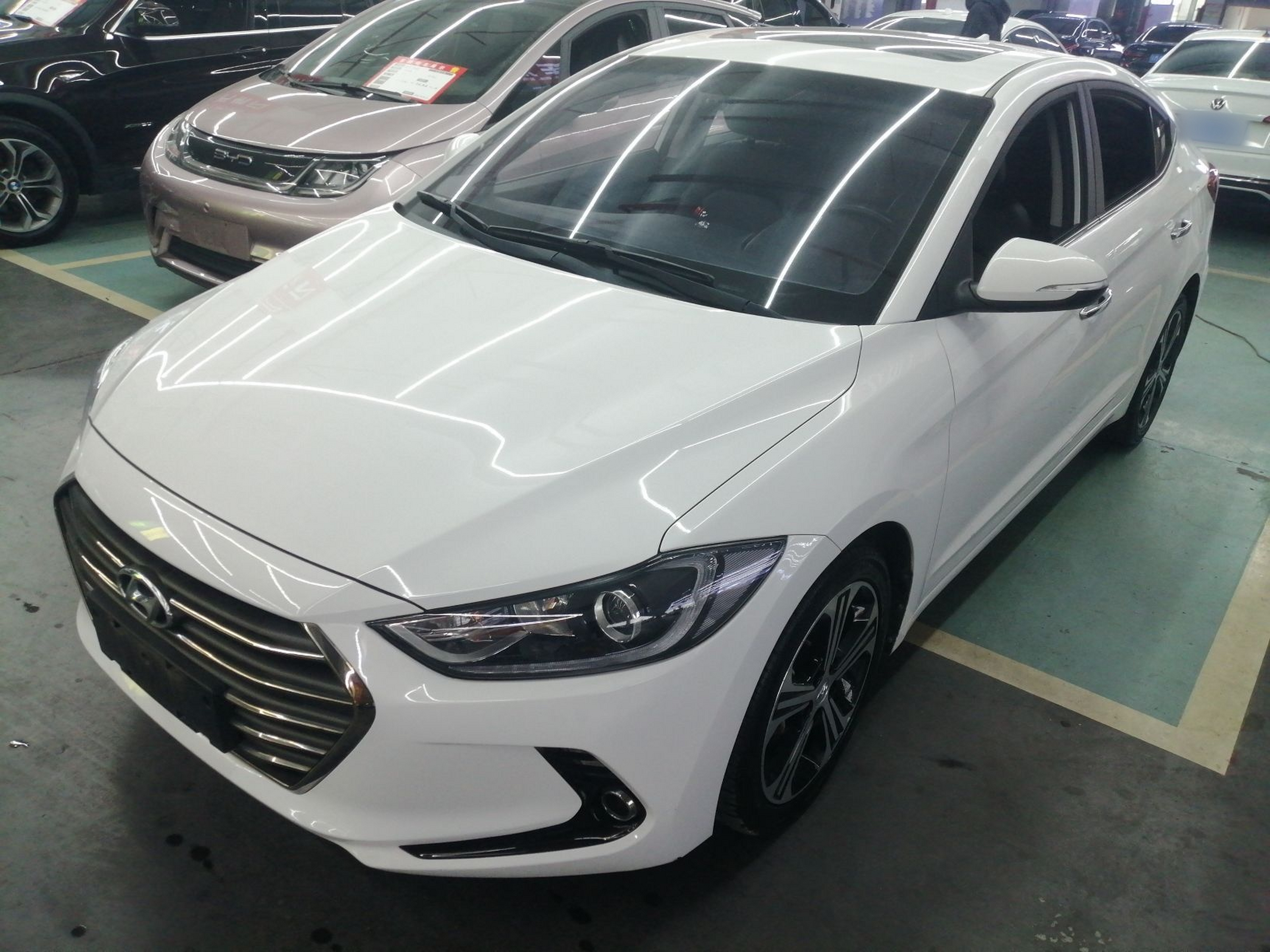 Parte inferior delantera