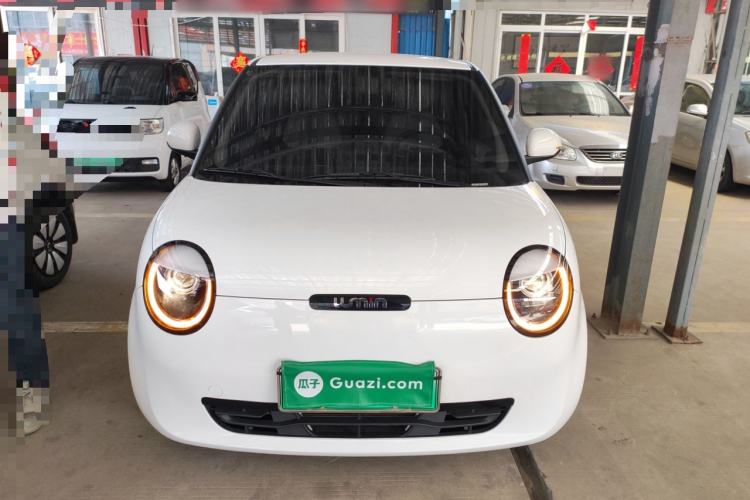 Used Qiyuan Lumin 2023 205km Xiangqin Version
