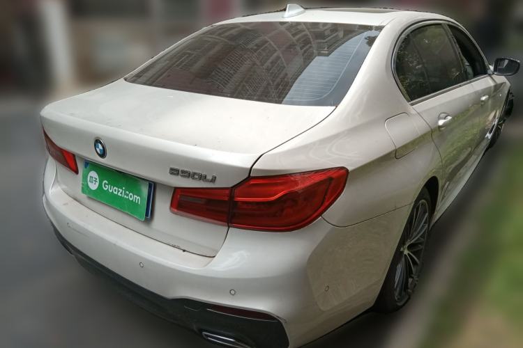 Used BMW 5 Series 2020 530Li Luxury Edition M Sport Package Rear Right 45 Deg