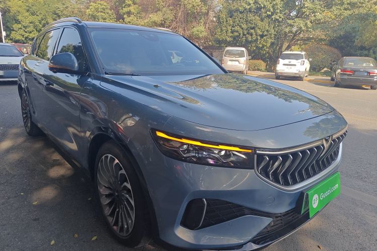 Used VOYAH FREE 2021 Four-Wheel Drive Standard Range-Extended Exclusive Luxury Package
