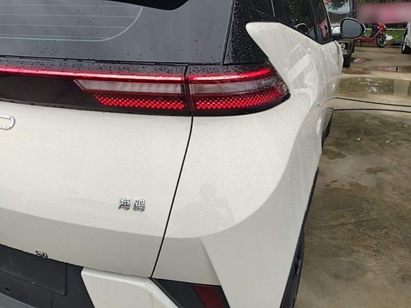 Used BYD Seagull 2025 Intelligent Driving Version 305 km Dynamic Edition — 7