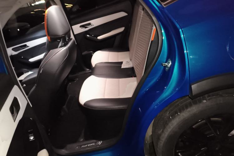 Used Haval LHERY 2021 High-Performance Version 1.5T Golden Rabbit Left Rear Seat