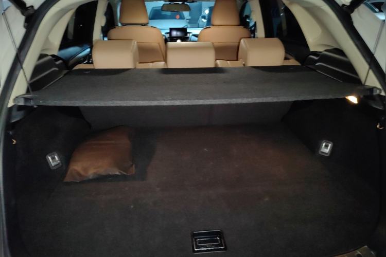 Used Lexus NX 2016 200 All-Wheel Drive FENGSHANG Version