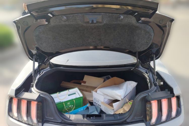 Used Ford Mustang 2019 2.3L EcoBoost
