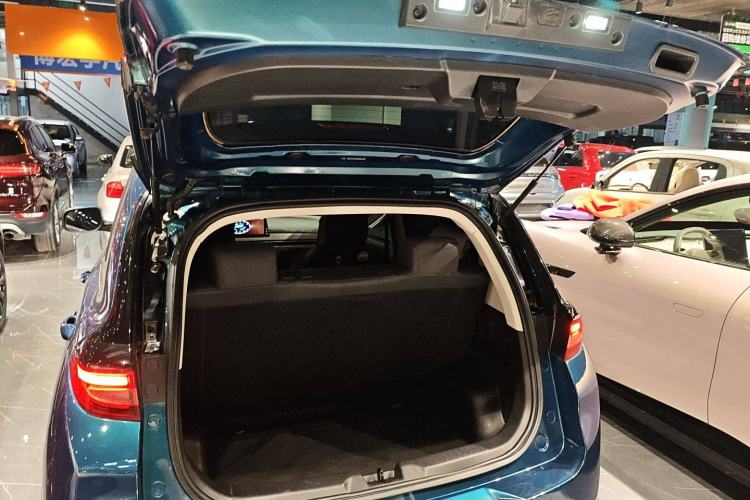 Used Dayun Yuehu 2021 32.85 kWh Two-Wheel-Drive Sprite Version
