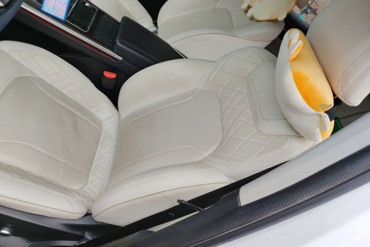 Used EXEED Lanyue 2021 390T Two-Wheel Drive StarRui Edition