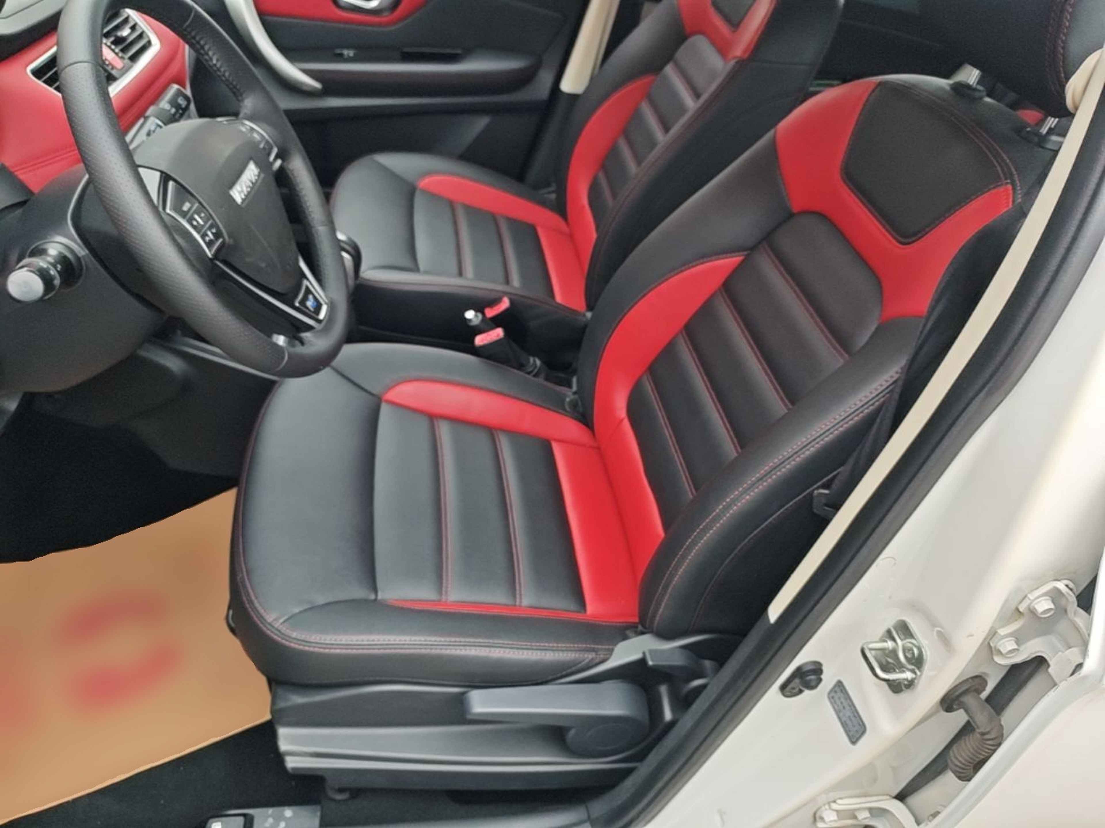 Interior delantero