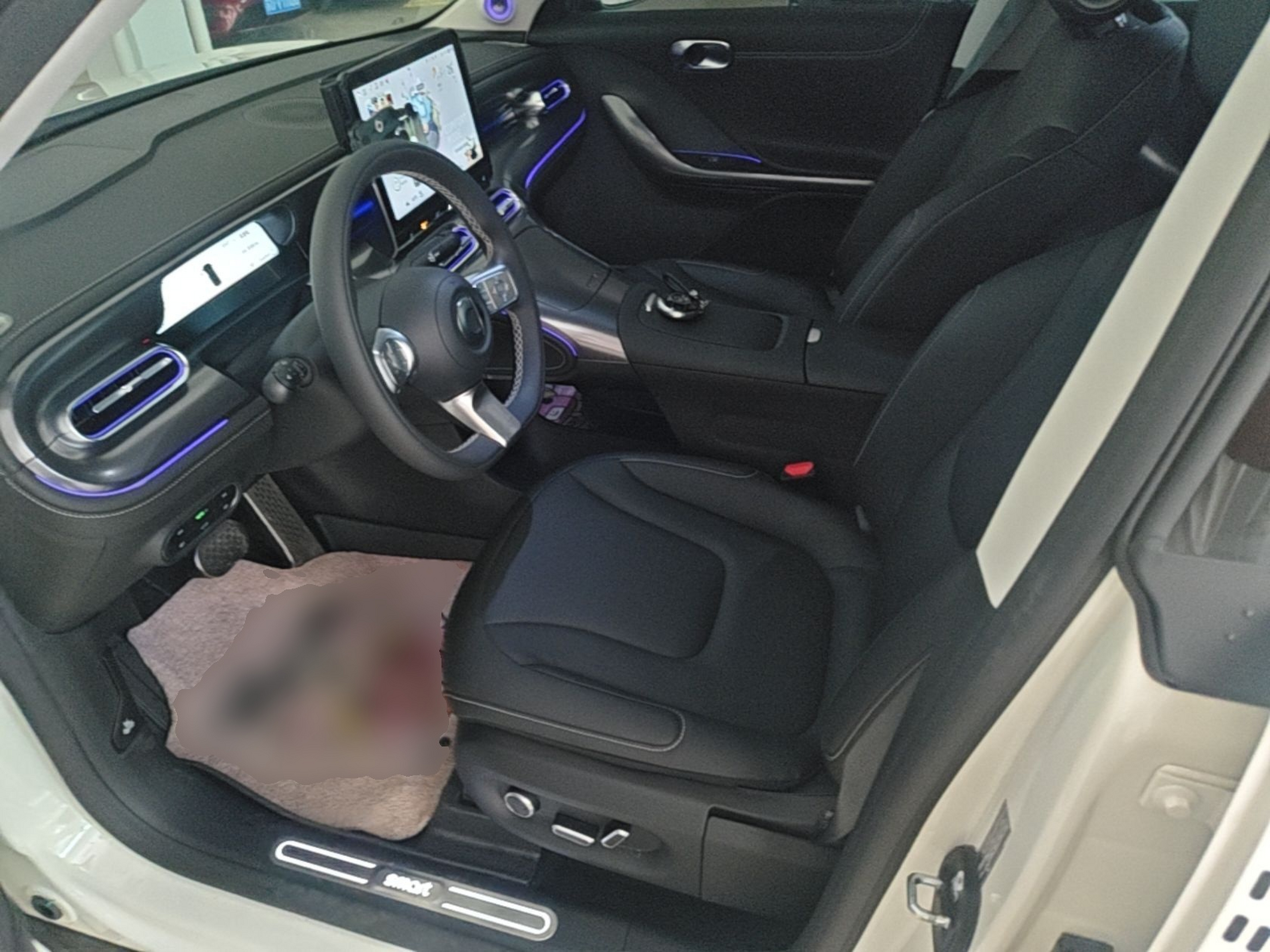Interior delantero
