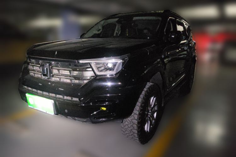 Used Tank 400 2025 2.0T Gasoline Version