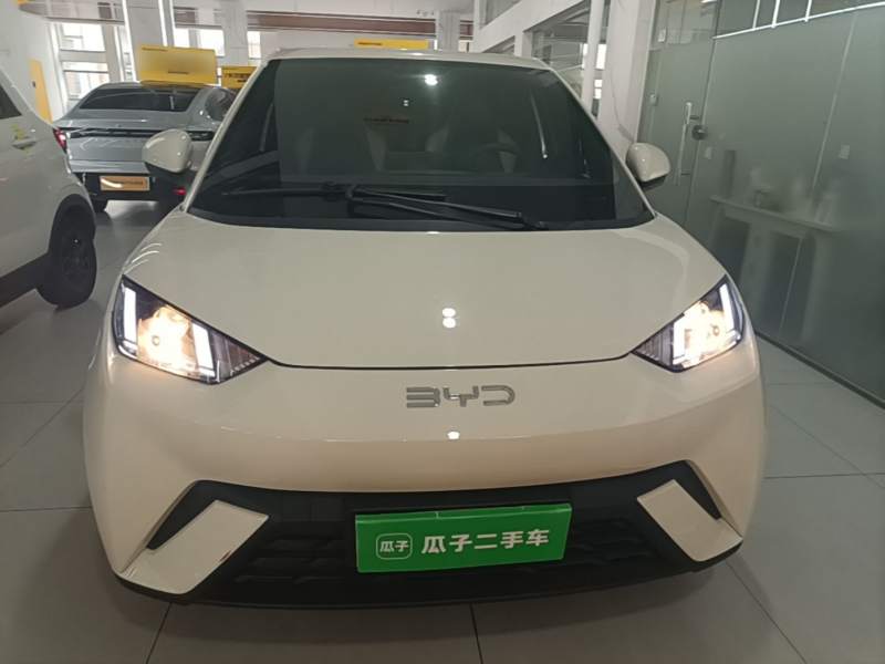 Used BYD Seagull 2023 Active Version — 2