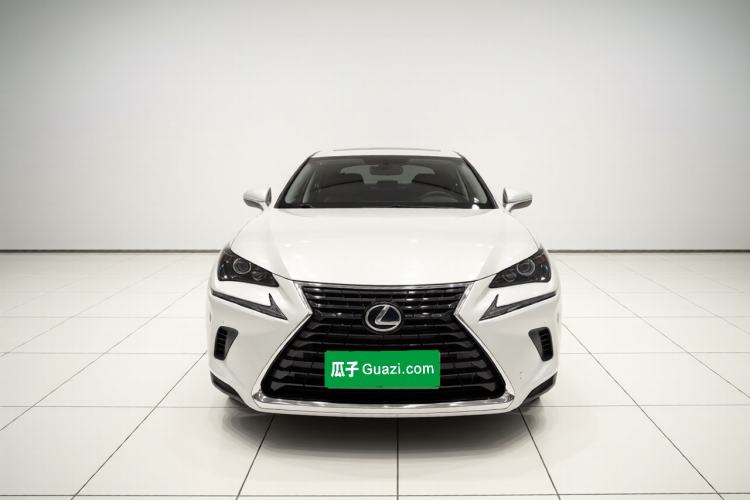 Used Lexus NX 2020 200 Front-Wheel Drive Vmotion Edition China VI Standard Exterior 1