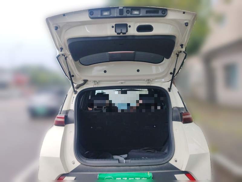 Used BYD Seagull 2023 Free Edition — 15