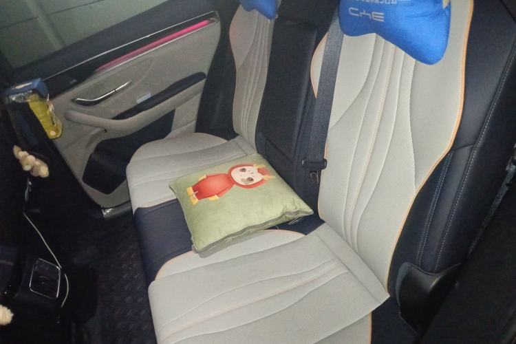 Used BYD Song PLUS New Energy 2021 DM-i 51KM Prestige Model Left Rear Seat