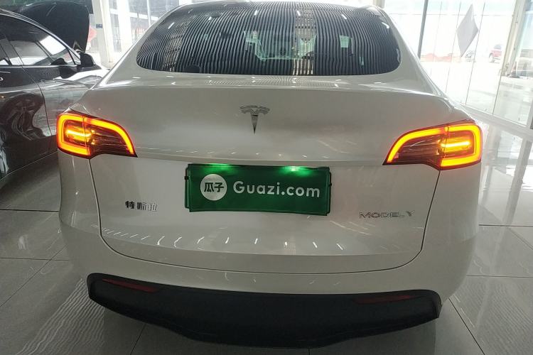 Used Tesla Model Y 2021 Standard Range Rear-Wheel Drive Version
