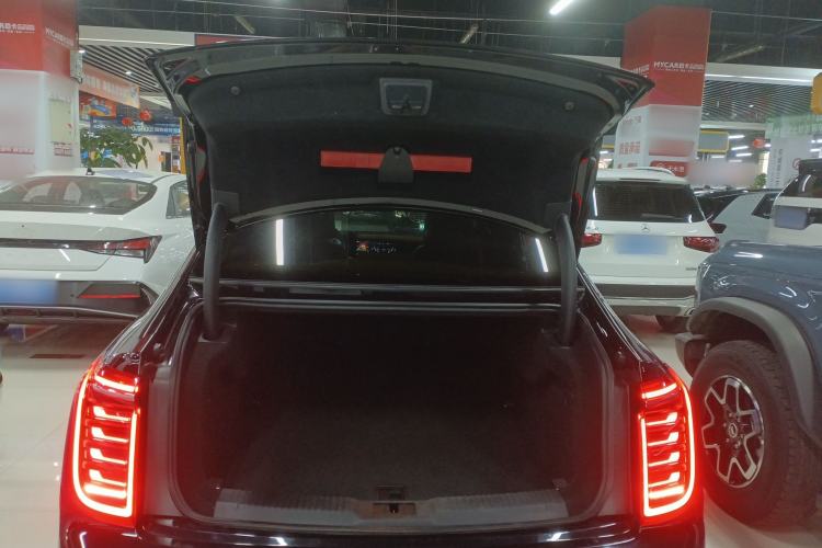 Used Hongqi H9 2020 2.0T Smart Connect Flagship Edition Trunk