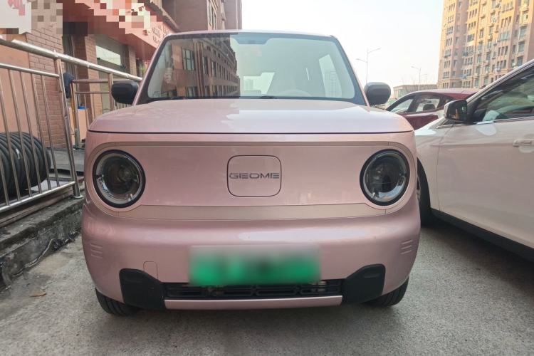 Used Geely Galaxy Panda 2023 Panda Mini New Year Edition Treasure Bear