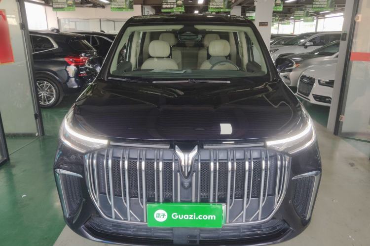 Used VOYAH Dream 2022 Low-Carbon Edition Home