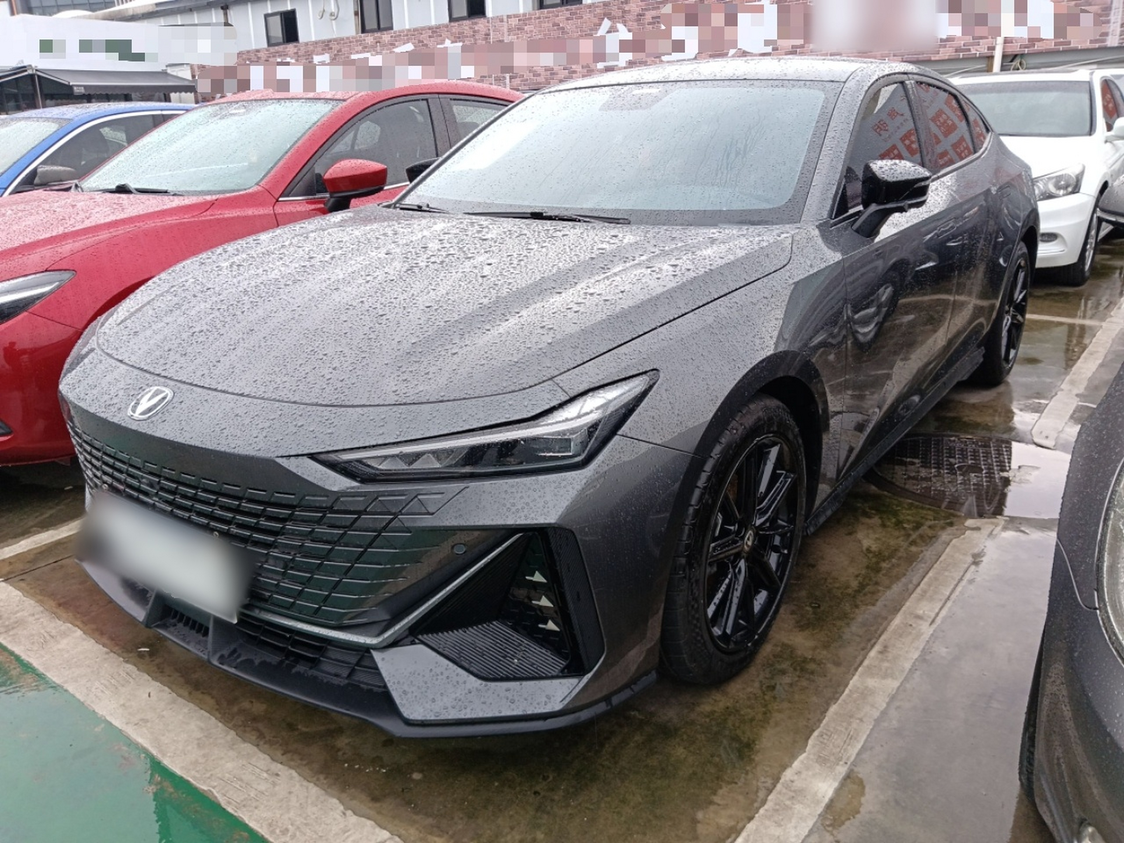 Parte inferior delantera