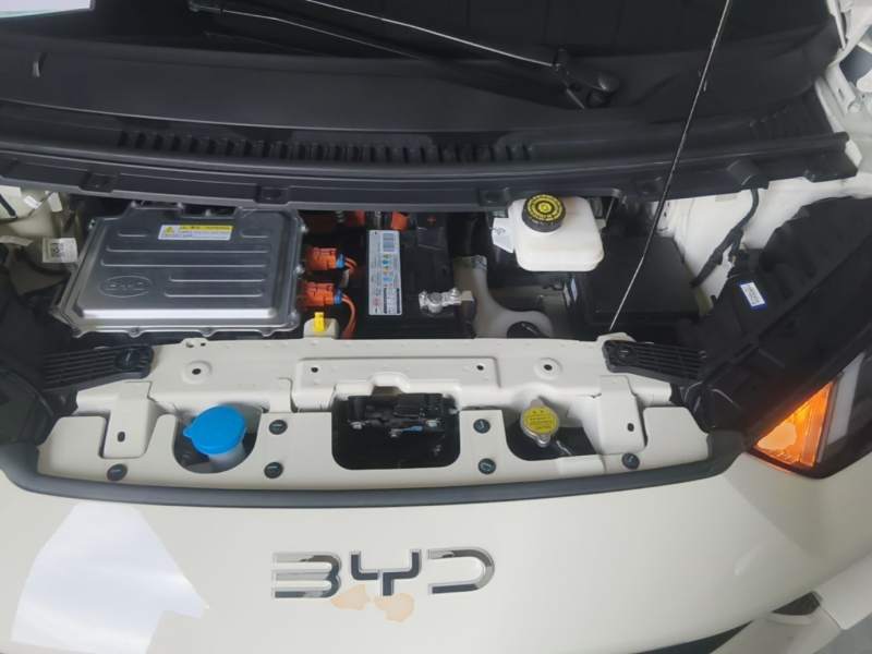Used BYD Seagull 2025 305km Active Version — 19