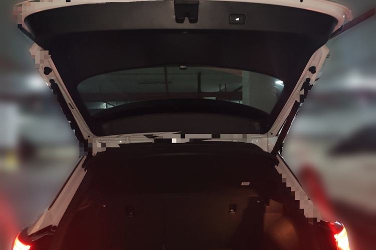 Used Volkswagen T-ROC 2024 300TSI DSG Two-Wheel-Drive Chen Guang Edition
