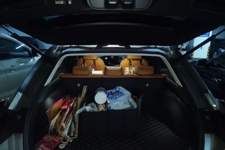 Used Lexus UX New Energy 2020 300e Pure·Joy Edition
