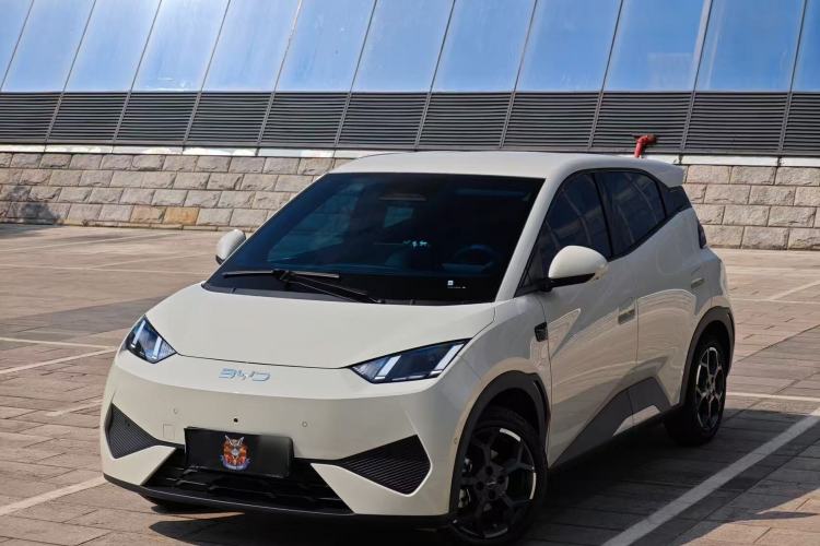 Used BYD Seagull 2025 Smart Drive Version 305 km Freedom Edition