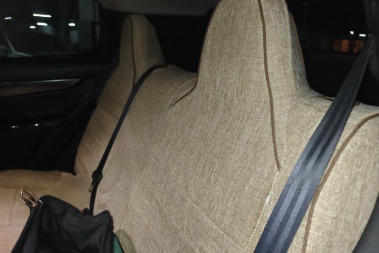 Used XPeng G3 2021 G3i 520G Left Rear Seat