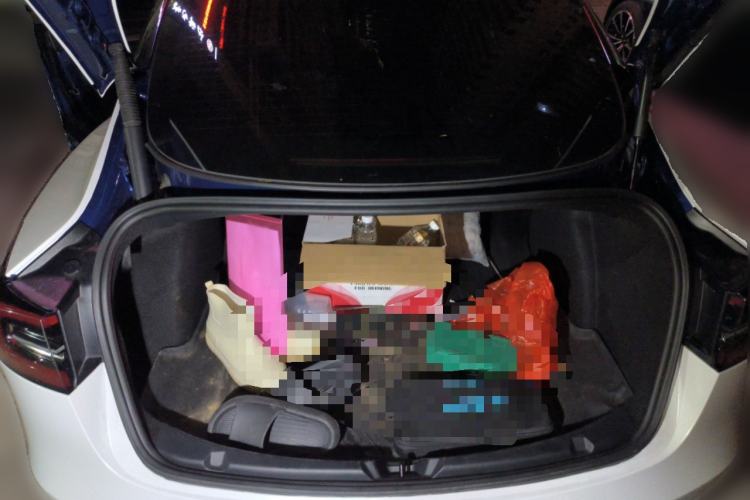 Used Tesla Model 3 2021 Revised Version Standard Range Rear-Wheel Drive Upgraded Edition 3D1
