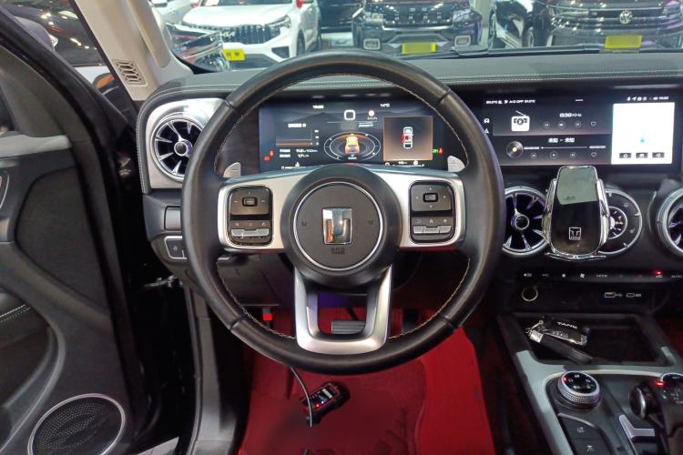 Used Tank 300 2024 2.0T Conqueror