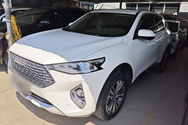 Used Haval F7 2020 2.0T Two-Wheel Drive i-Van