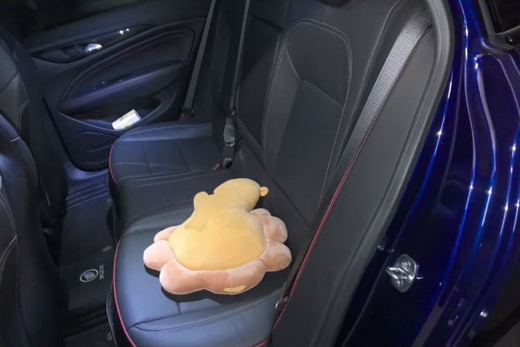 Used Buick Regal 2023 GS Prestige Model
