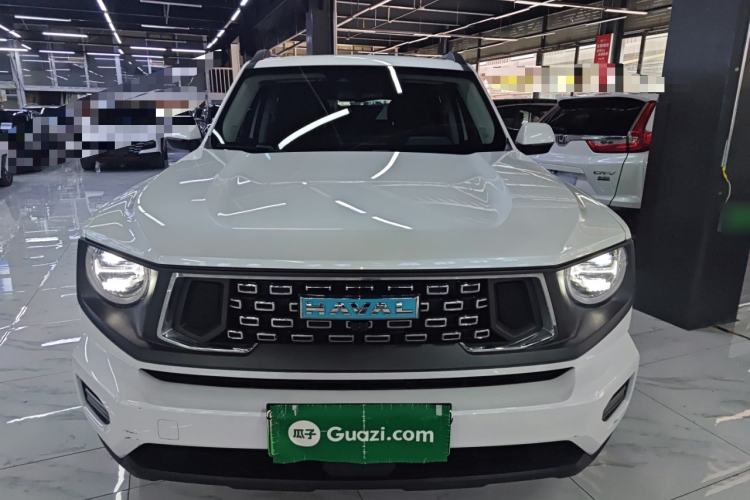 Used Haval H Dog New Energy 2023 DHT-PHEV 105km Tide Electric Version Plus Front