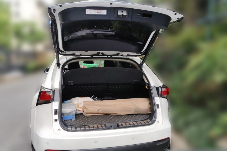 Used Lexus NX 2016 200 Special Limited Edition Trunk