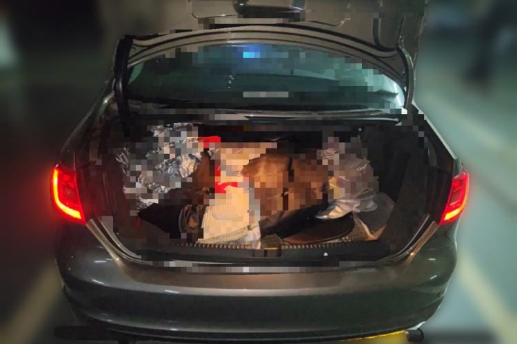 Used Volkswagen Sagitar 2012 1.6L Automatic Comfort Edition Trunk