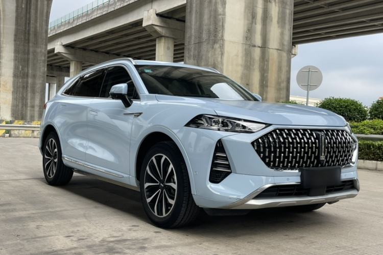 Used Wey Mocha 2021 2.0T Two-Wheel-Drive Ultra-Strong Version
