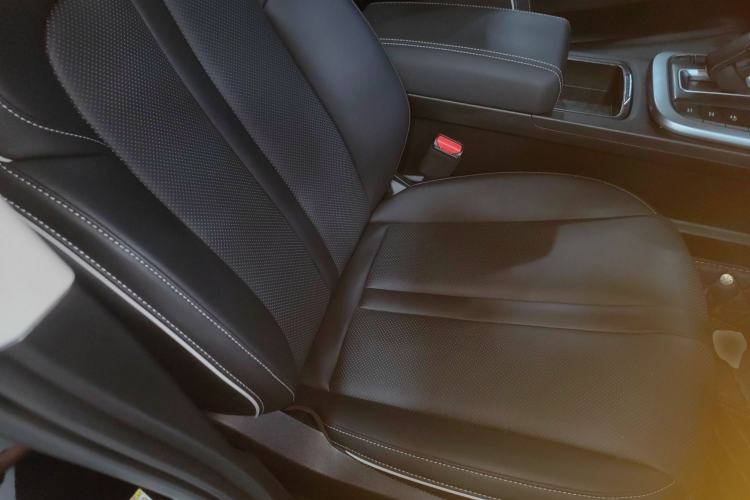 Used Tank 300 2024 2.0T Conqueror
